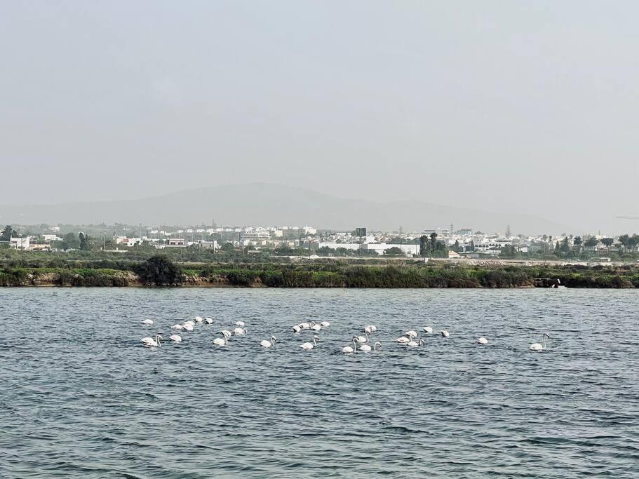 Olhao 3 Bedroom With Rooftop Pool, Marina Village ภายนอก รูปภาพ